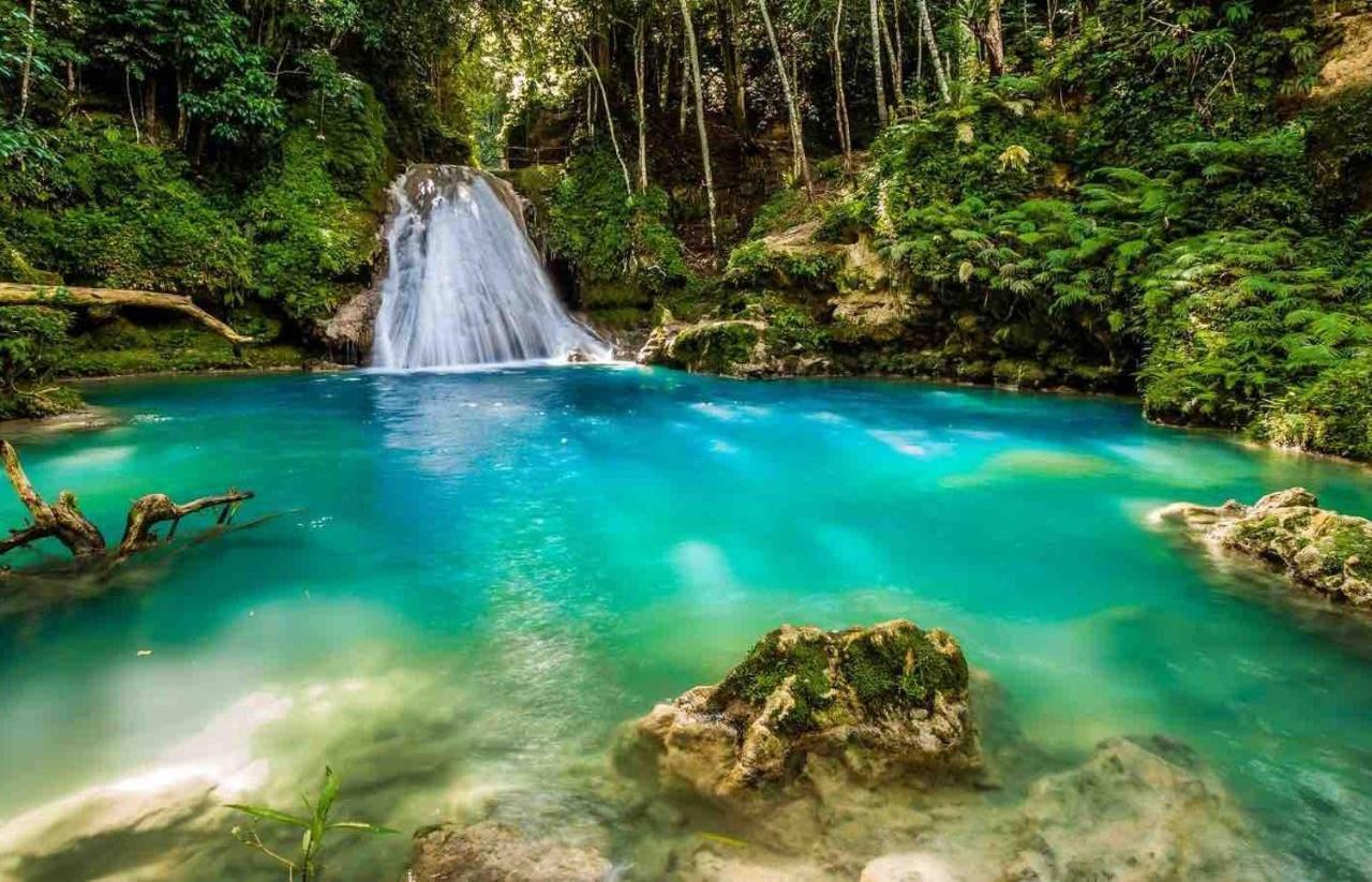 The Roseville Ocho Rios Eksteriør billede